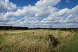 Tottenham Marshes